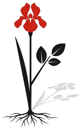A stem in full bloom