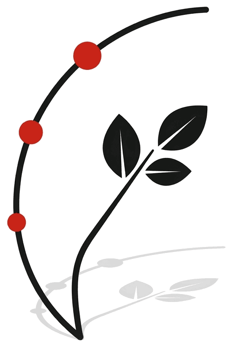 A black arc with three red nodes marking stages along its length