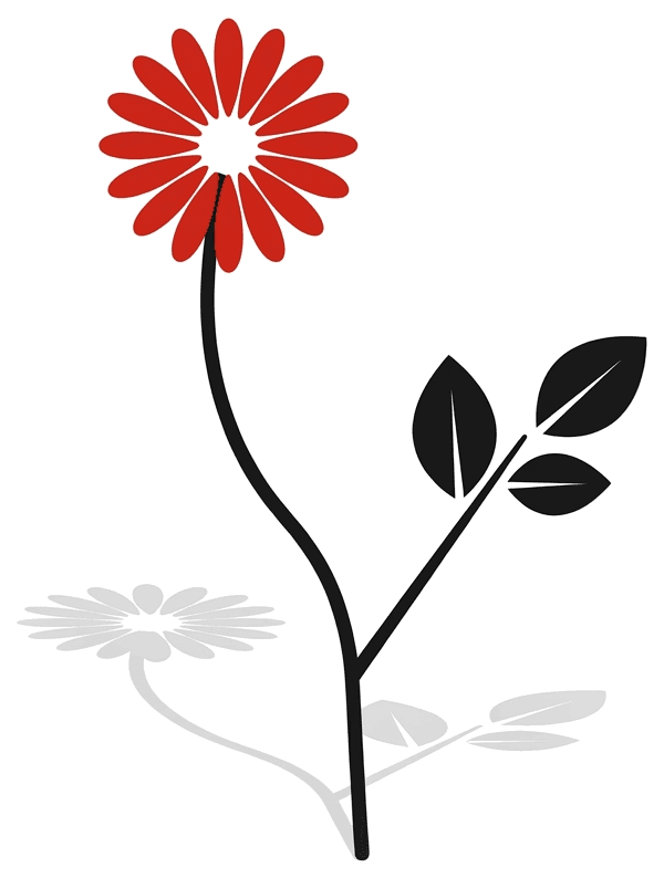 A red radial bloom on a black stem